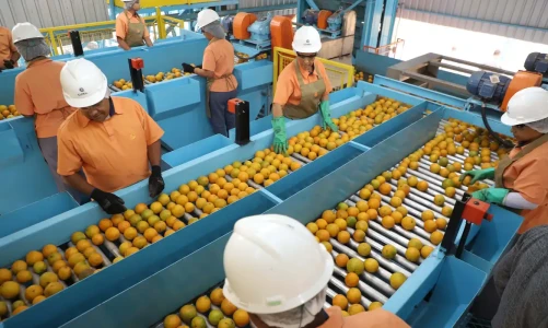 Exportações de alimentos caem em agosto devido a tarifas dos EUA