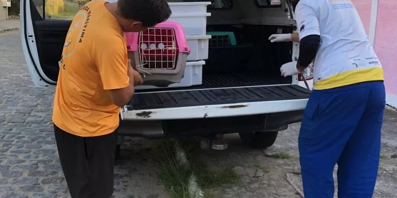 Guarda marítima resgata três animais silvestres em Cabo Frio