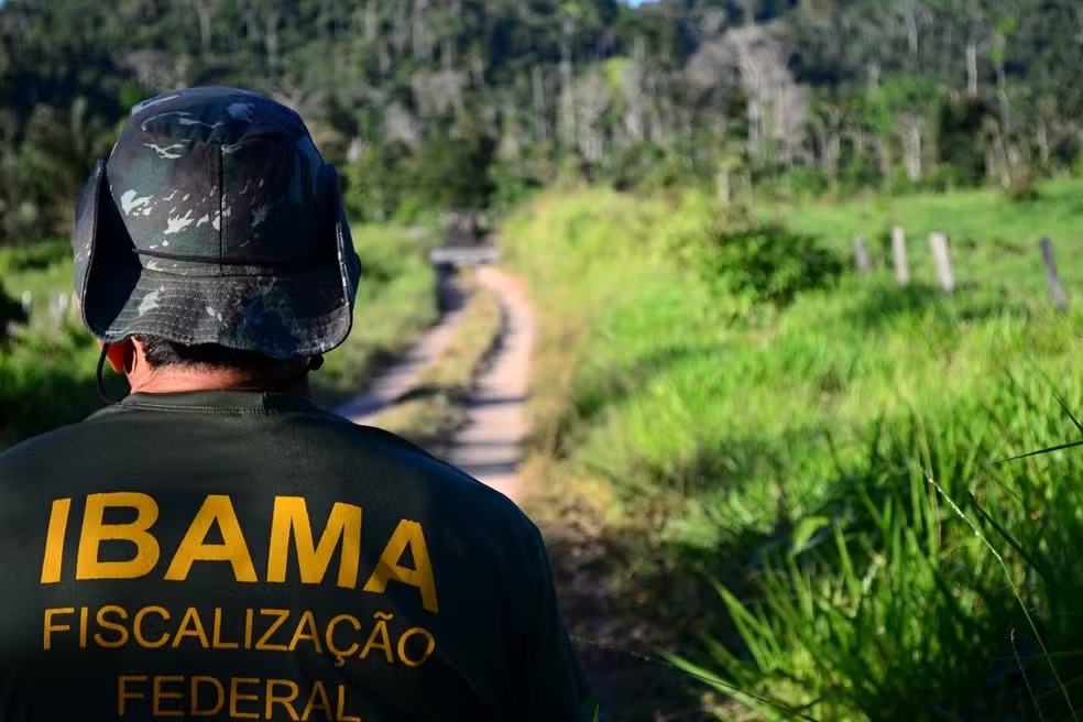 Ibama nomeia 460 aprovados de concurso 2025 para analista ambiental e administrativo