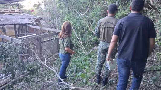 Prefeitura autua comércio por corte irregular de vegetação em Cabo Frio