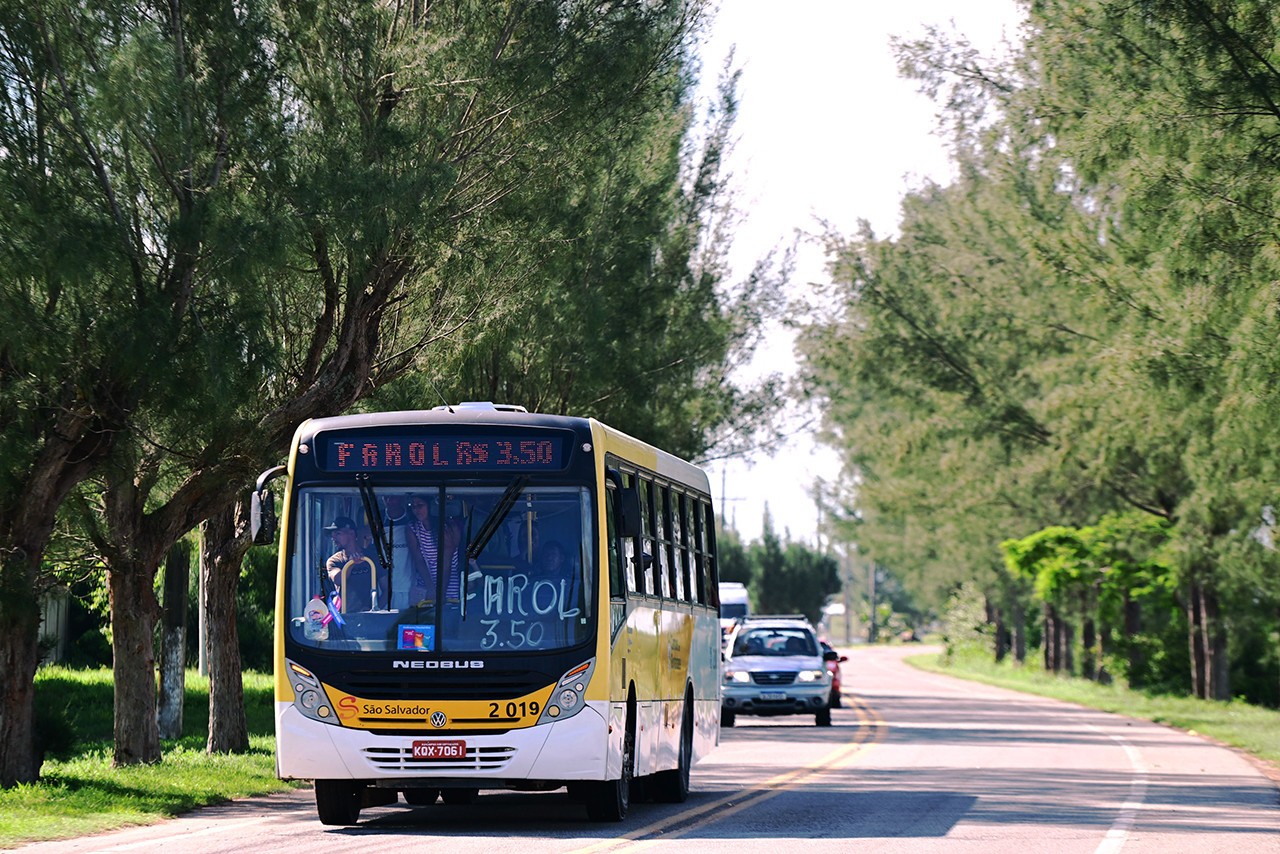 Farol no verão: IMTT implementa operação especial de ônibus para a praia