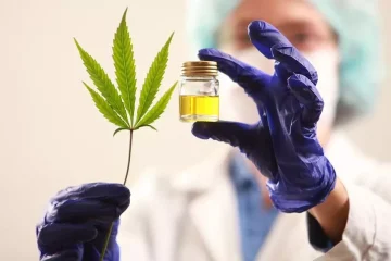 Cannabis medicinal: Anvisa libera plantio regulado para uso terapêutico