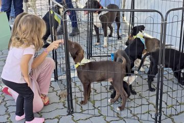Feira de Adoção acontece em Shopping de Macaé