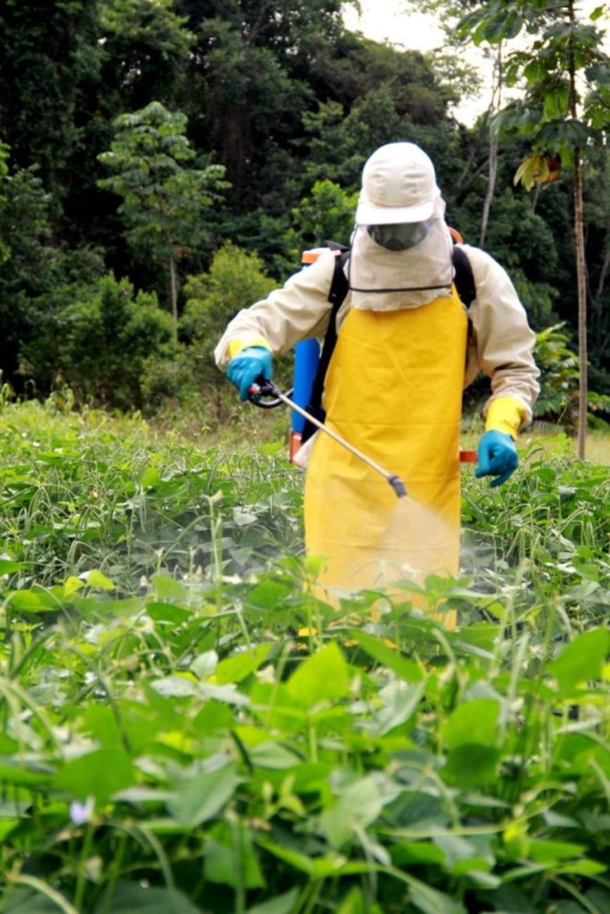 Ultraprocessados com veneno: aparece em metade dos alimentos analisados