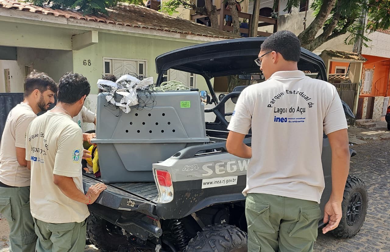 Capivara é resgatada em mercado no Farol, em Campos