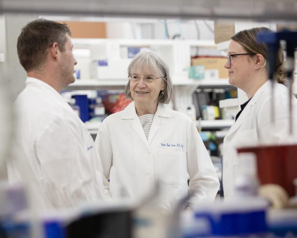 Novo exame de sangue pode prever quanto tempo de vida uma pessoa tem