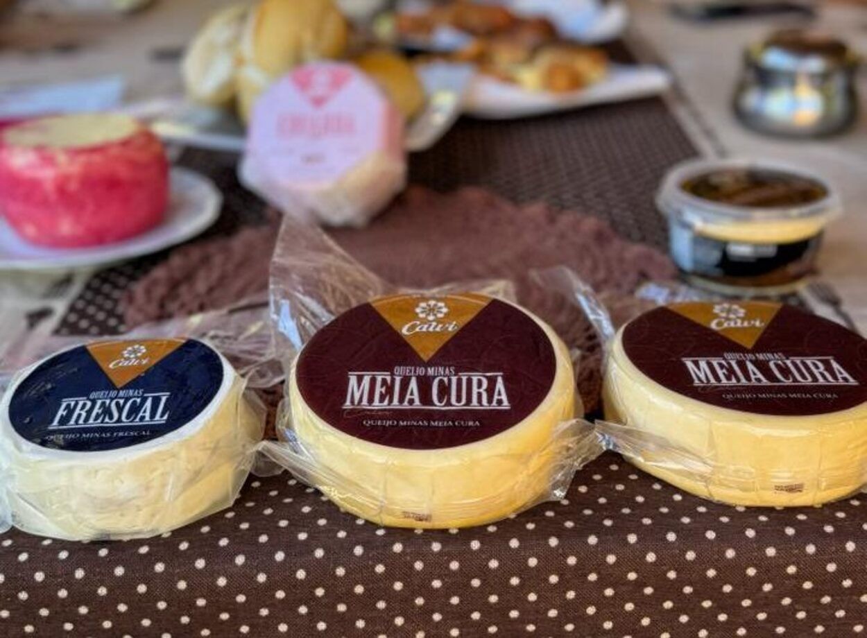 Queijo de Cachoeiro de Itapemirim vence prêmio e se destaca entre os melhores