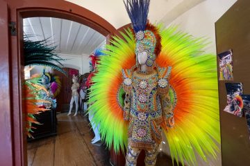 Carnaval de SJB vira exposição com fantasias da escola Congos
