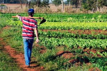 Crédito para agricultura familiar cresce e supera R$ 2,36 bilhões no ES