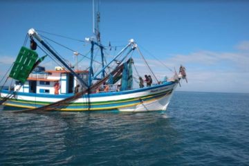 Pescadores artesanais no Espírito Santo podem solicitar vistoria de embarcações