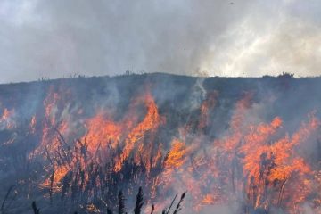 Fogo na Serra dos Órgãos destrói área de grandes proporções, em poucos dias