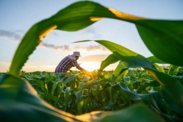 Agricultura familiar do Espírito Santo supera R$ 2,5 bilhões em crédito