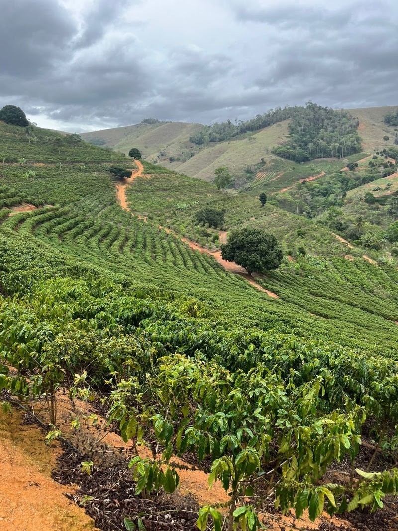 Agroindústrias avançam no Sul do Espírito Santo com regularização e apoio