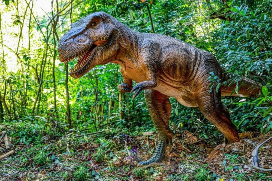 Parque dos Dinossauros em Iguaba Grande recebe 8 mil currículos às vésperas da abertura