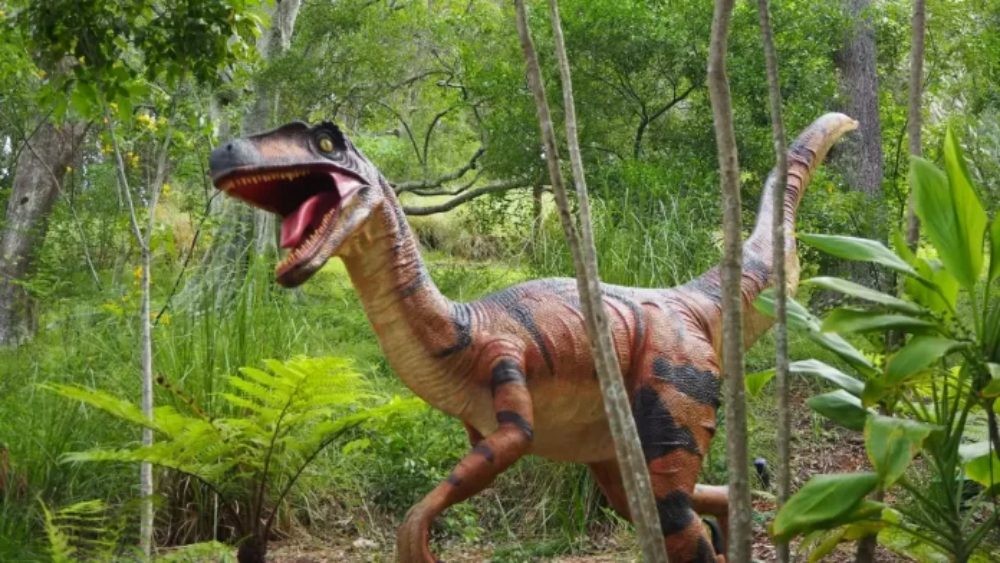 Parque dos Dinossauros em Iguaba Grande recebe 8 mil currículos às vésperas da abertura