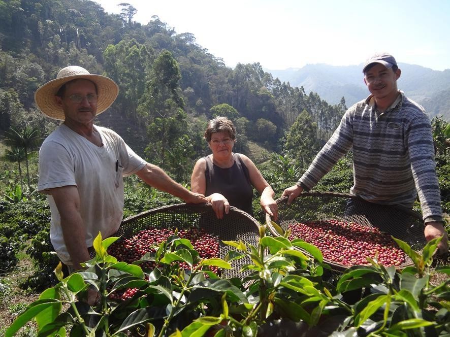 Preço do café cai, consumo cresce e EspÃrito Santo se prepara para safra recorde