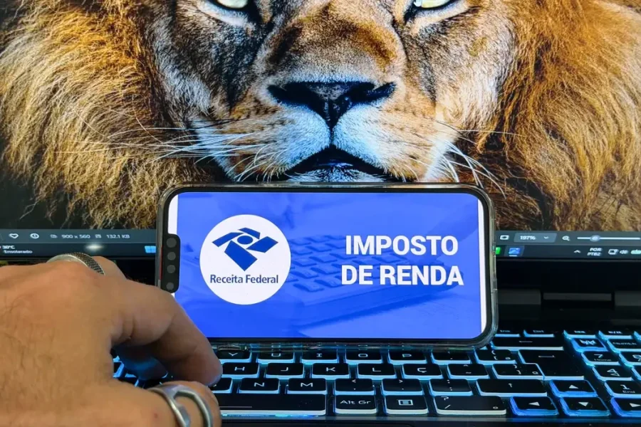 Prazo para entrega do Imposto de Renda termina no dia 30