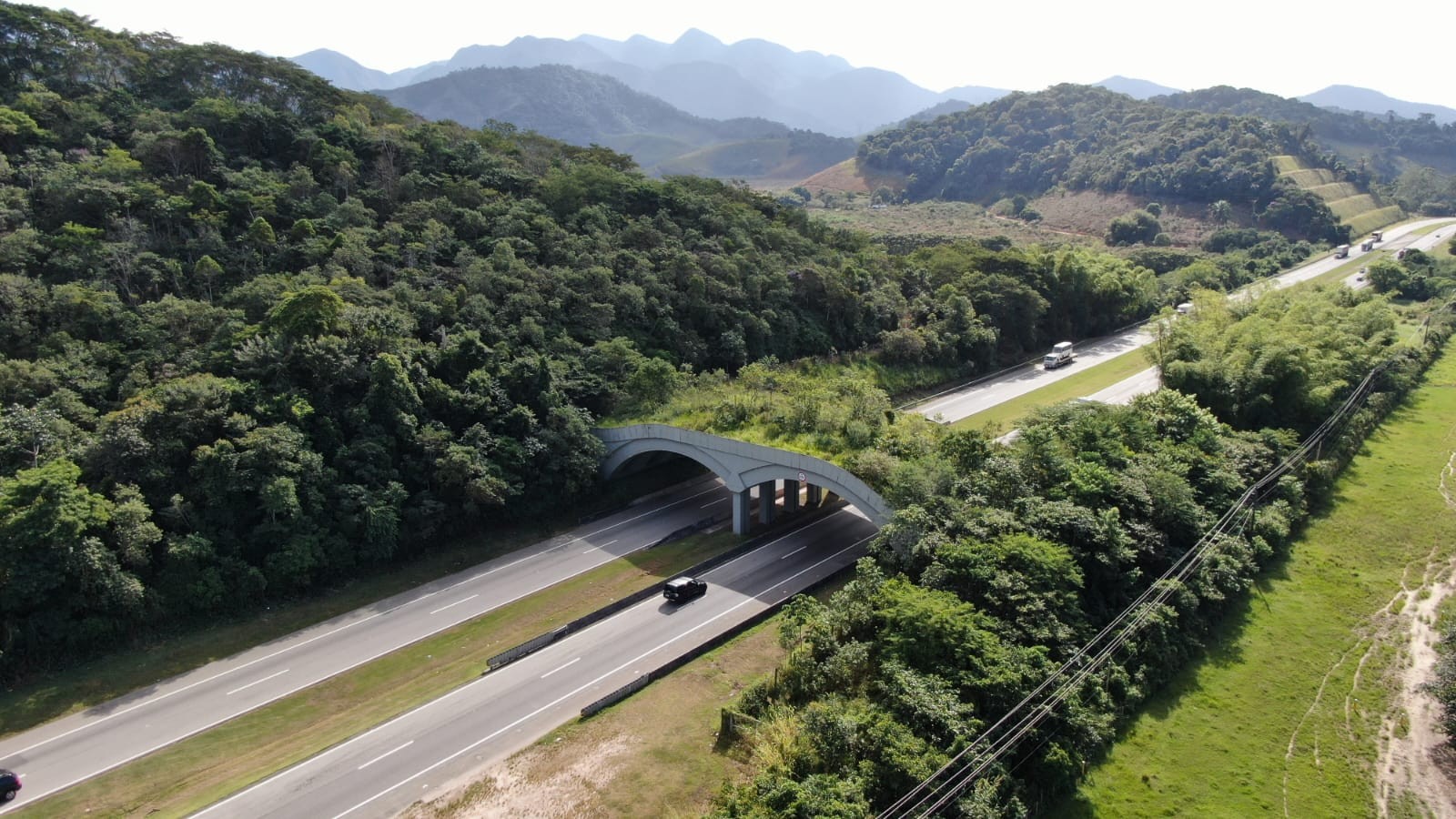 Reserva Poço das Antas abriga única passagem de fauna em rodovia no Brasil