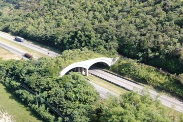 Reserva Poço das Antas abriga única passagem de fauna em rodovia no Brasil
