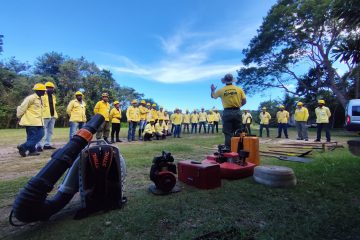 Reservas ambientais fluminenses ganham reforço contra incêndios