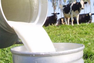 Bovinocultura de leite mobiliza produtores e instituições em Itapemirim