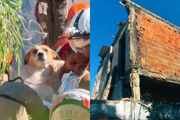 Cachorro é resgatado após desabamento parcial de casa em Cabo Frio