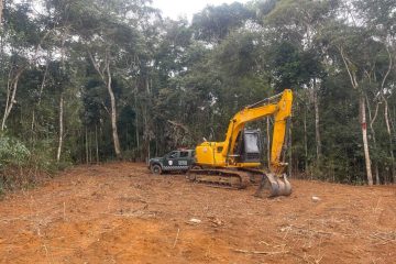 Denuncia de desmatamento em Varre-Sai em área equivalente a cinco campos de futebol