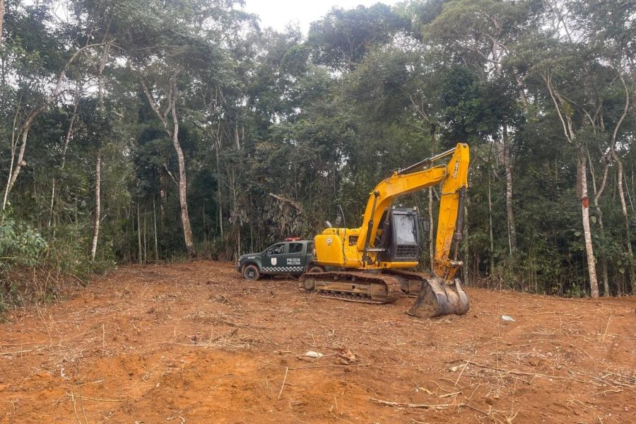 Denúncia em Varre-Sai aponta desmatamento em área equivalente a cinco campos de futebol
