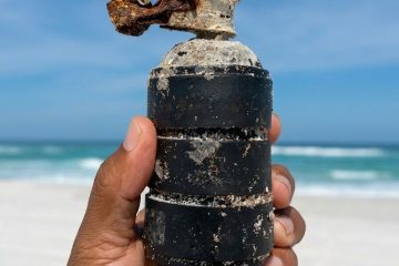 Granada é encontrada por voluntários durante limpeza de praia em Arraial do Cabo