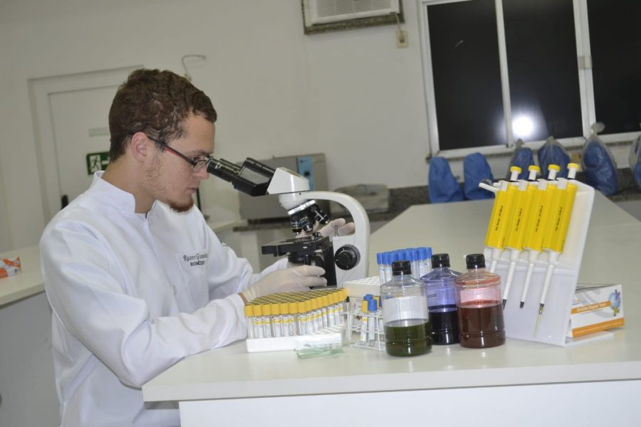 NUPEM/UFRJ avança em pesquisa sobre borrachudos em laboratório