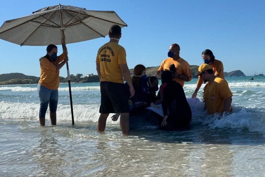 Golfinho encalha pela terceira vez na Praia do Forte, em Cabo Frio