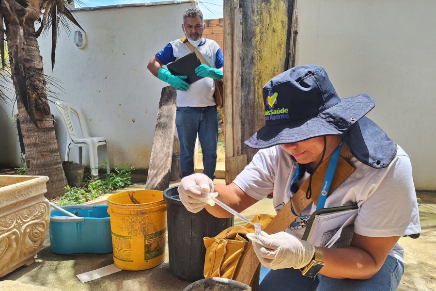 Macaé divulga cronograma de combate à dengue e vacinação antirrábica