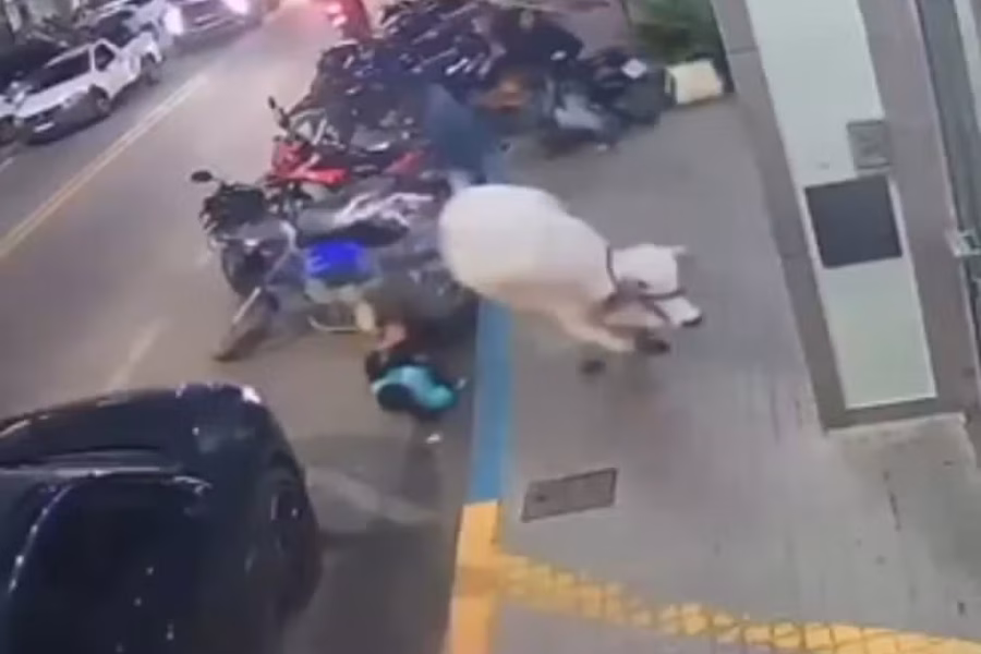 Menino é atingido por bezerra que escapou durante a Expo Cordeiro